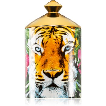 Ashleigh & Burwood London Wild Things Crouching Tiger lumânare parfumată